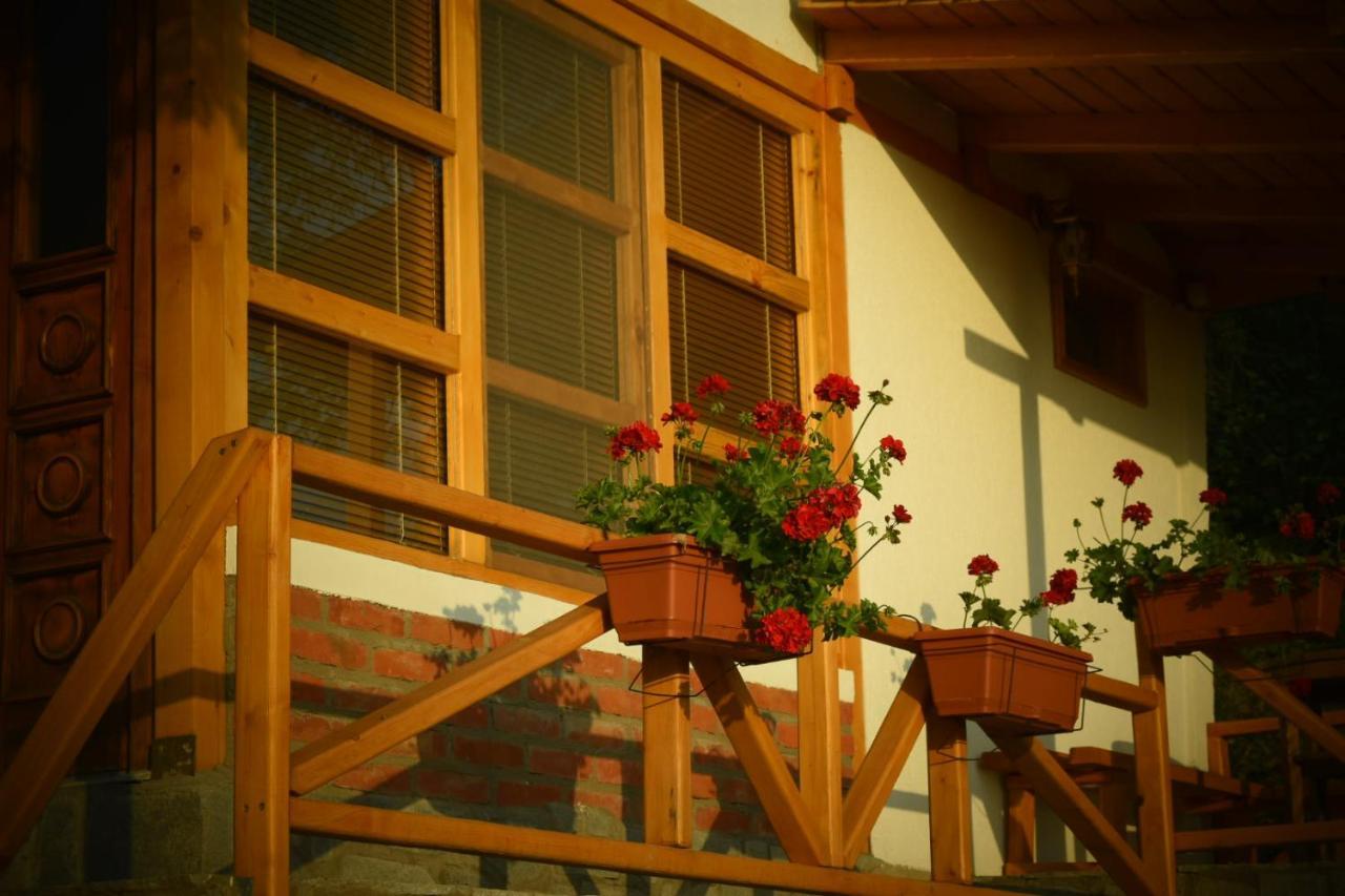 Sunset House Apartman Ohrid Kültér fotó