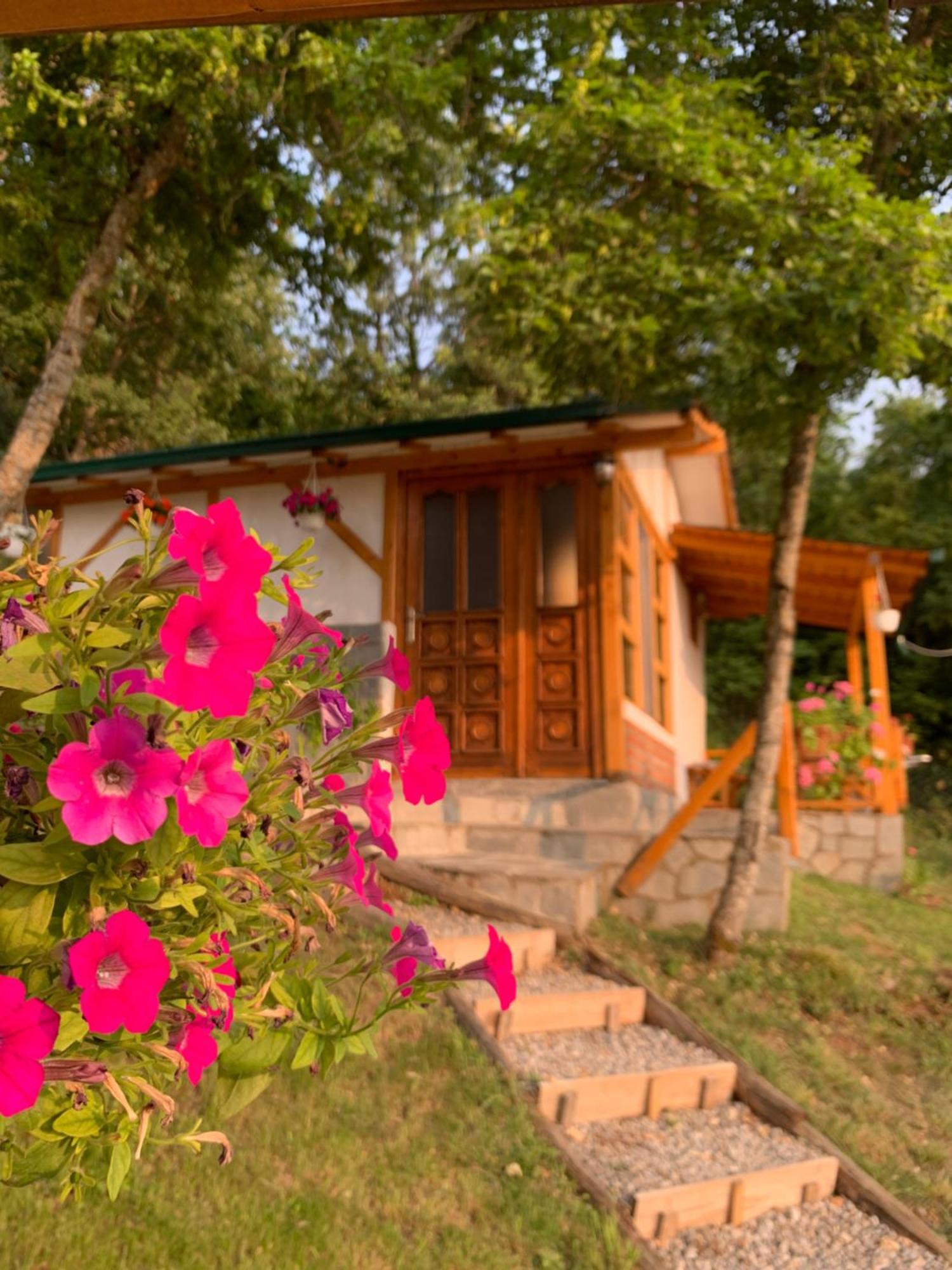 Sunset House Apartman Ohrid Kültér fotó